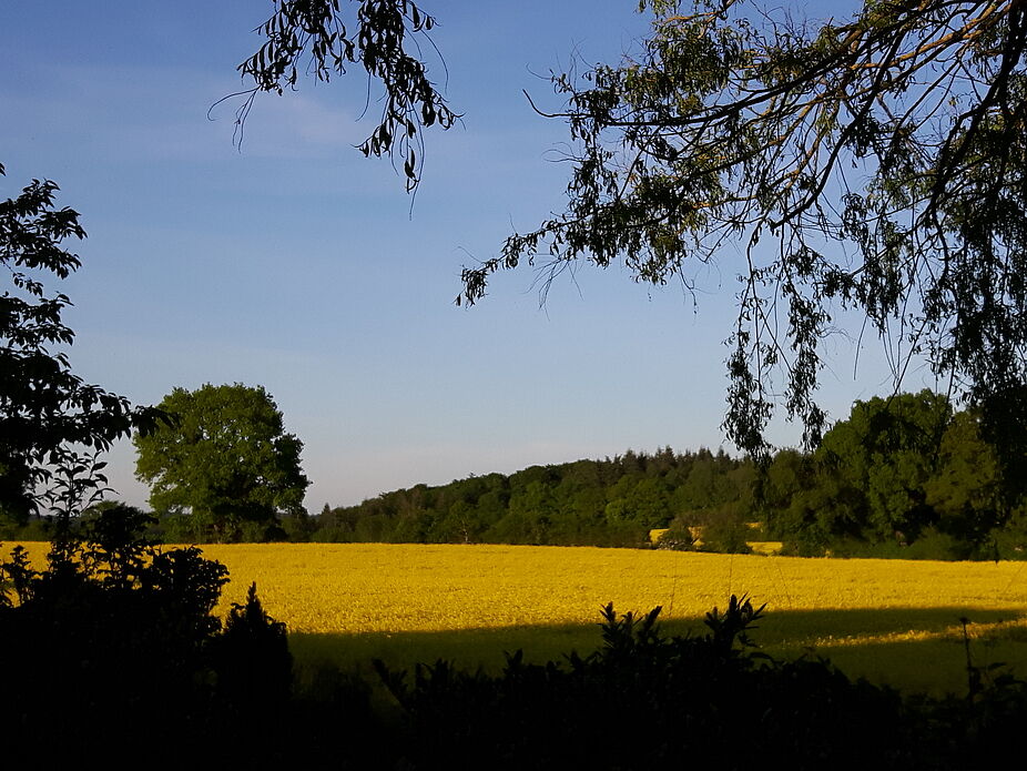 Immenhagen am Krummsee Immenhagen am Krummsee